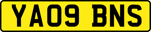 YA09BNS