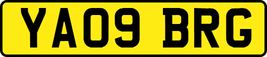 YA09BRG