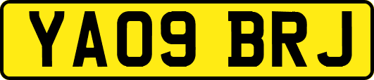 YA09BRJ