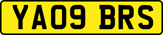 YA09BRS