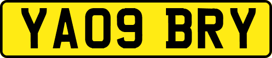 YA09BRY