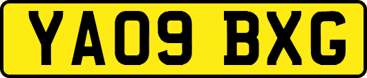 YA09BXG