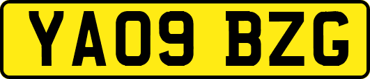 YA09BZG