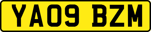YA09BZM