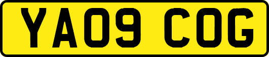 YA09COG