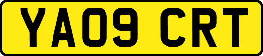 YA09CRT