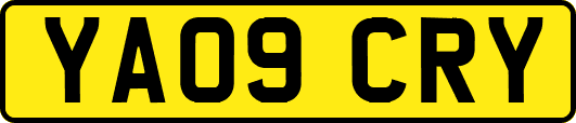 YA09CRY