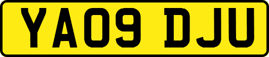 YA09DJU