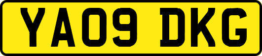 YA09DKG