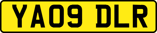 YA09DLR