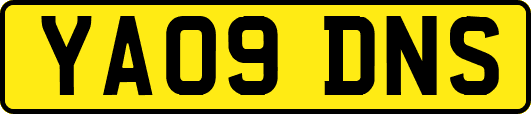 YA09DNS