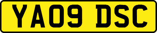 YA09DSC