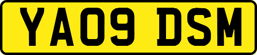 YA09DSM