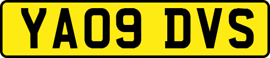 YA09DVS