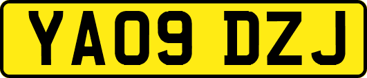 YA09DZJ