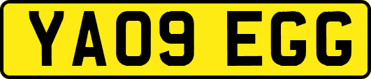 YA09EGG