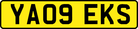 YA09EKS