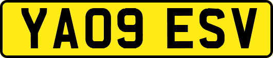 YA09ESV