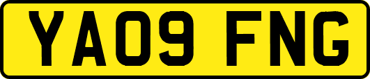 YA09FNG