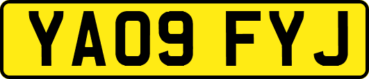 YA09FYJ