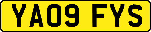 YA09FYS