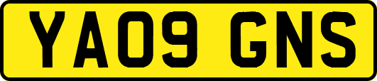 YA09GNS