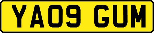 YA09GUM