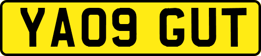 YA09GUT