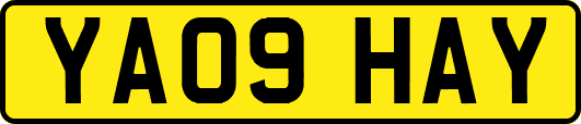 YA09HAY