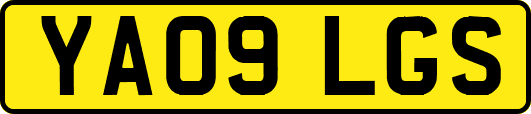YA09LGS