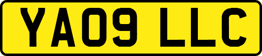 YA09LLC