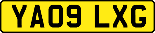 YA09LXG