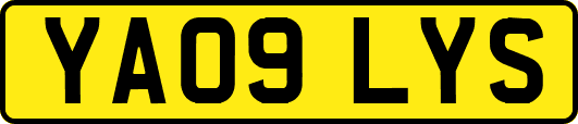 YA09LYS