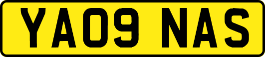 YA09NAS