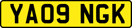 YA09NGK