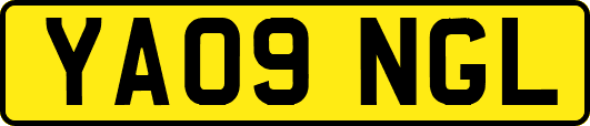 YA09NGL