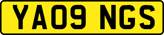 YA09NGS