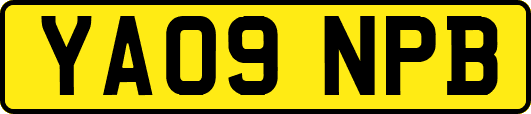 YA09NPB