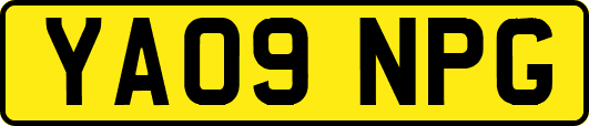 YA09NPG
