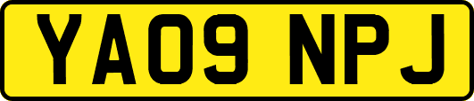 YA09NPJ