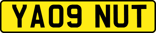 YA09NUT
