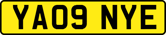 YA09NYE