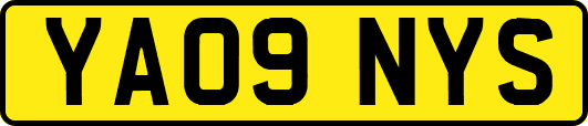 YA09NYS