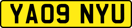 YA09NYU