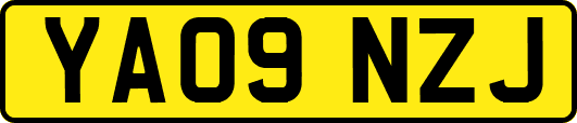 YA09NZJ