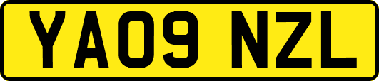 YA09NZL