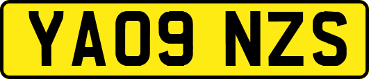 YA09NZS