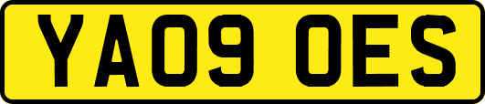 YA09OES