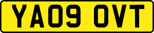 YA09OVT