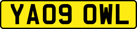 YA09OWL